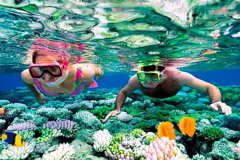 Two snorkelers above colourful coral