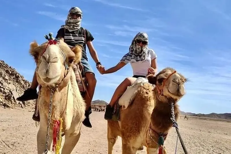 A camel ride in the desert