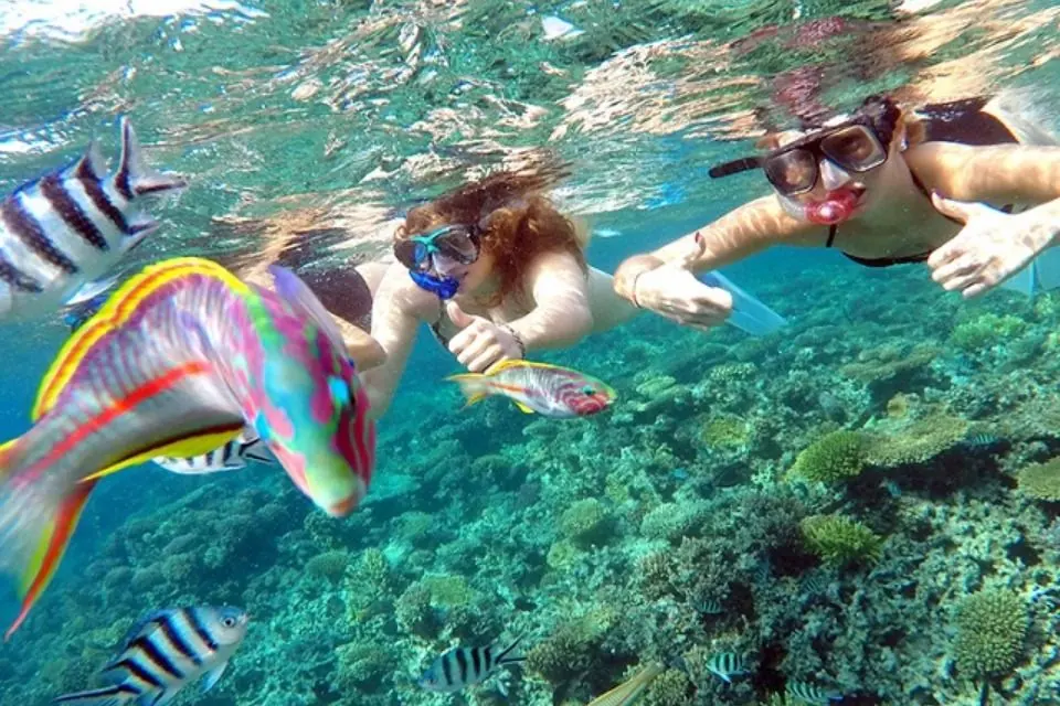 Snorkelers swimming with tropical fish