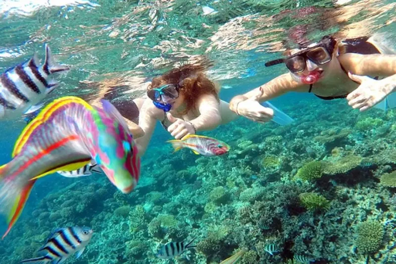 Snorkelers swimming with tropical fish